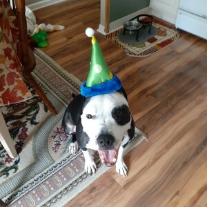 Fundraising Page: Nikki PAC Alum! 